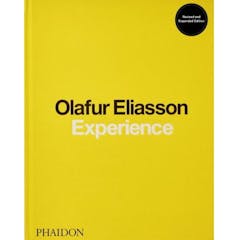 Olafur Eliasson: Experience